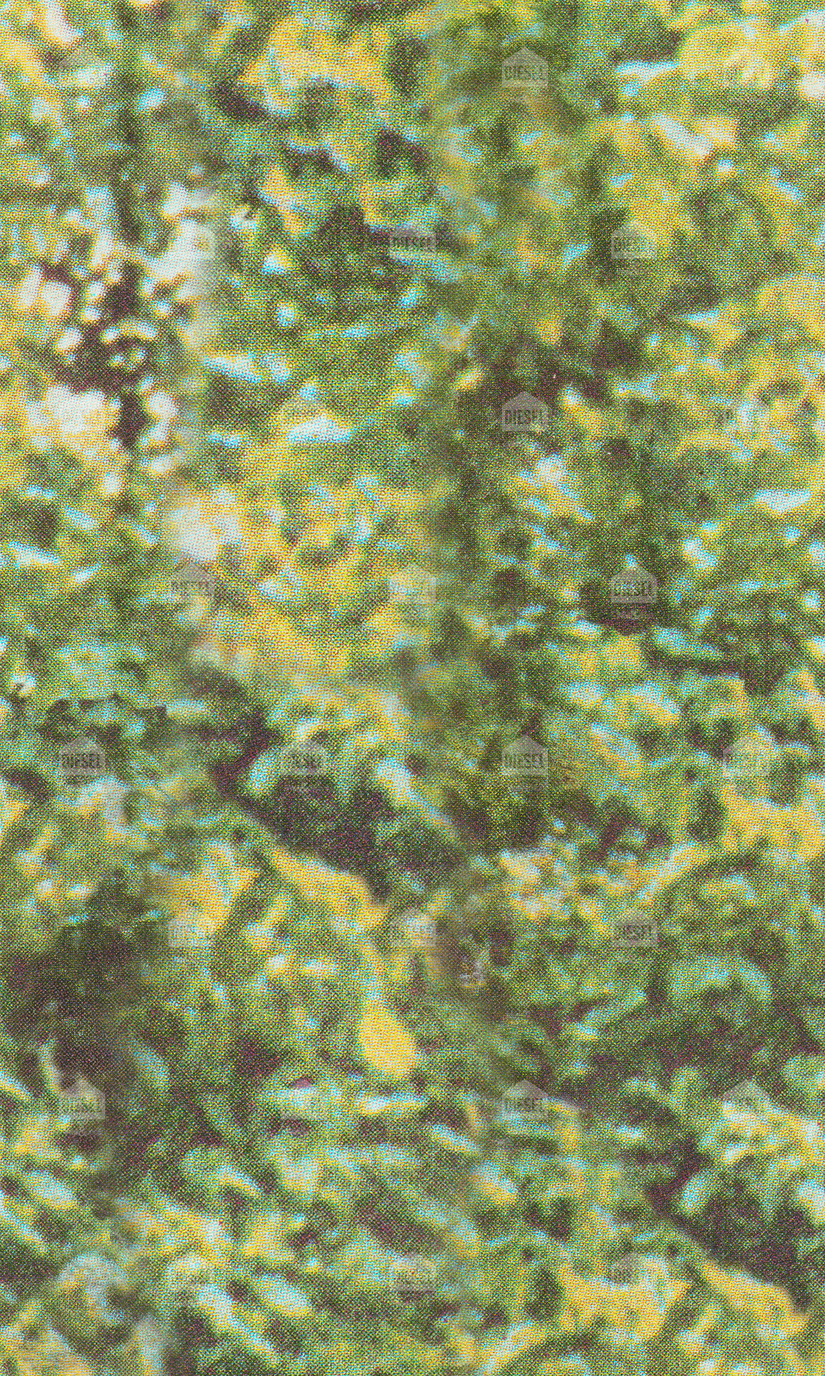 Diesel - FOREST CAMO,  - Image 1